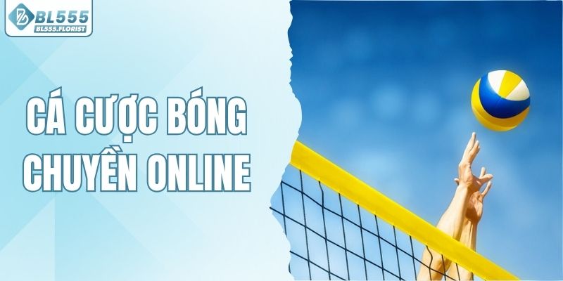 Cá Cược Bóng Chuyền Online - Bùng Nổ Thắng Lớn Cùng BL555