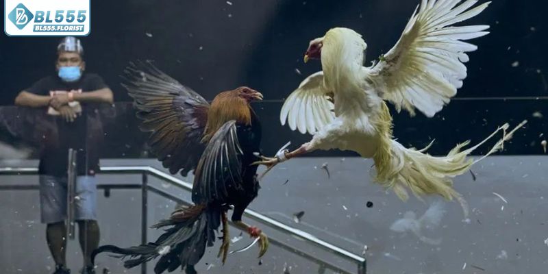 Năng lực bền bỉ khi thi đấu